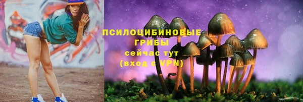 скорость Абаза
