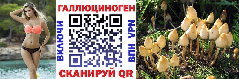Псилоцибиновые грибы Psilocybe Норильск